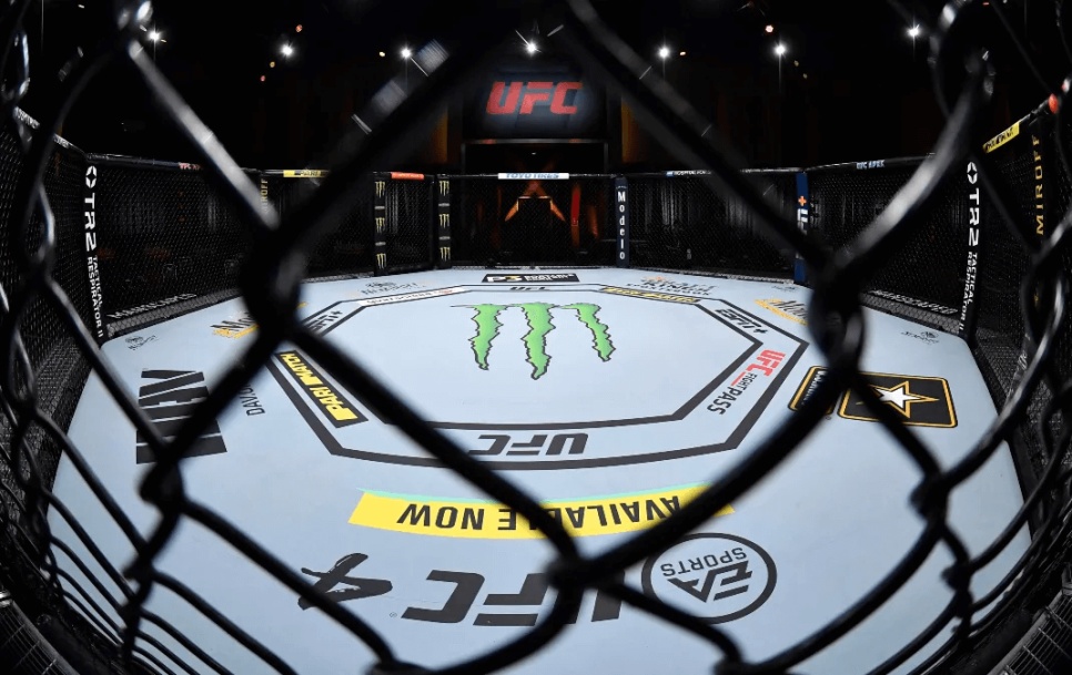 UFC Octagon in Las Vegas, Nevada. Source: Jeff Bottari / Zuffa LLC